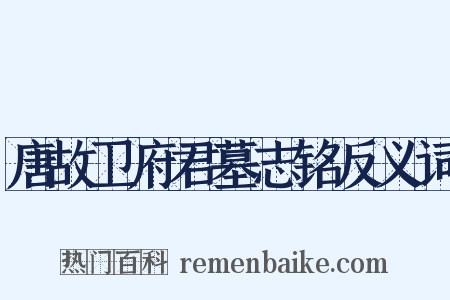 唐故卫府君墓志铭反义词是什么意思的图片